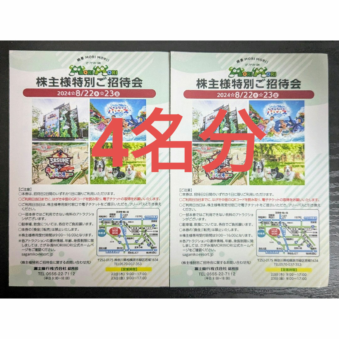 【4名分フリーパス】相模湖プレジャーフォレスト さがみ湖MORIMORI チケットの施設利用券(遊園地/テーマパーク)の商品写真