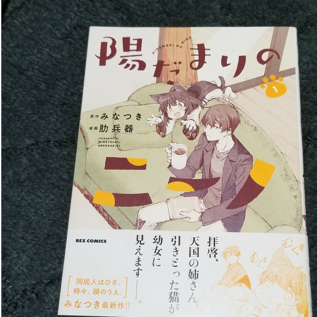 一迅社(イチジンシャ)の陽だまりのニーノ エンタメ/ホビーの漫画(その他)の商品写真