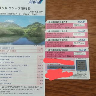 ANA株主優待券(その他)
