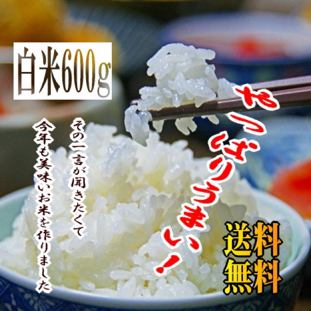 《送料無料》28年産 新米 100% あきたこまち 精米600g(4合) 食品/飲料/酒の食品(米/穀物)の商品写真