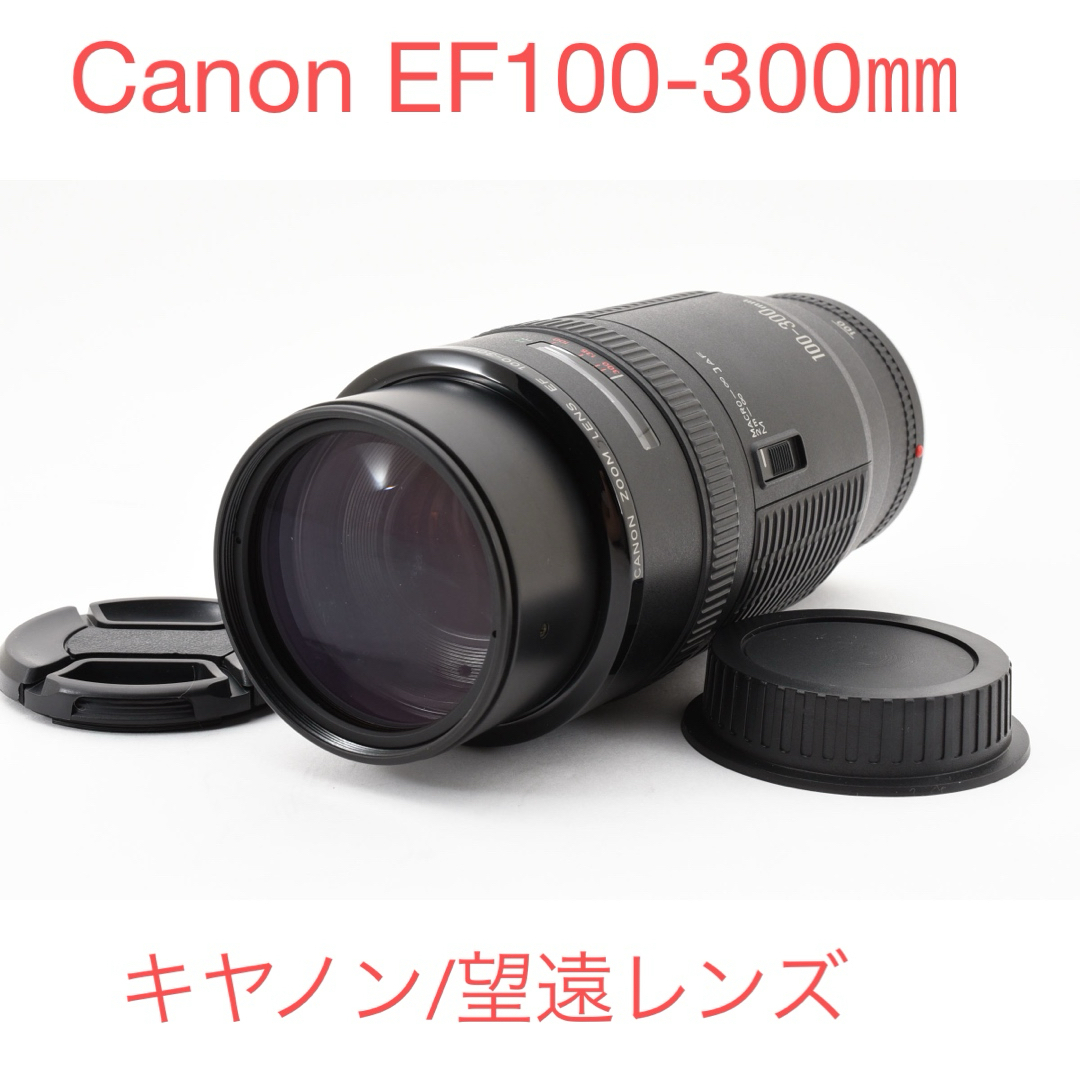 望遠レンズ/ CANON ZOOM LENS EF 100-300mm F5.6 望遠レンズ/ CANON ZOOM LENS EF 100-300mm F5.6