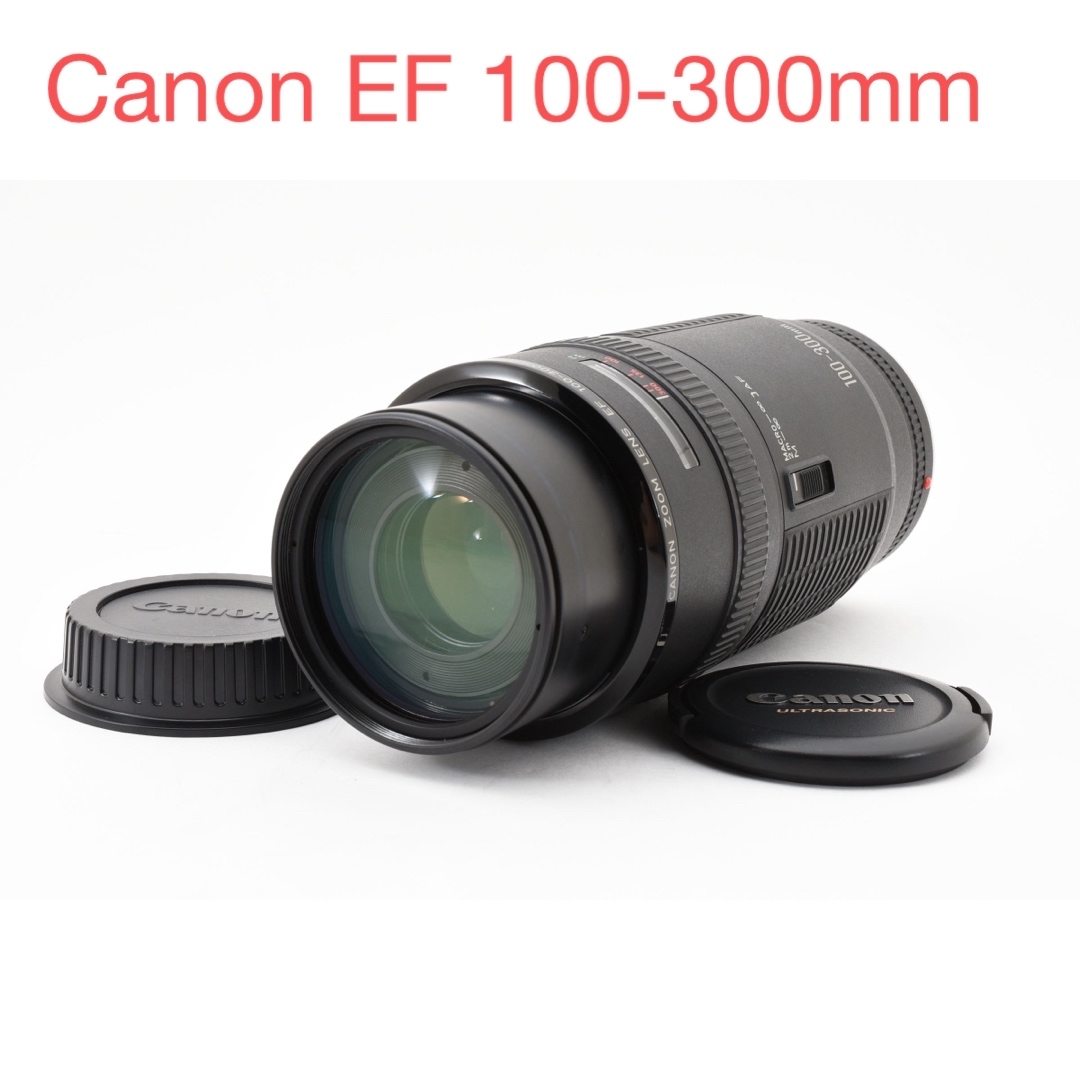 Canon EF 100-300mm ズームレンズ/キヤノンEFマウント Canon EF 100-300mm ズームレンズ/キヤノンEFマウント