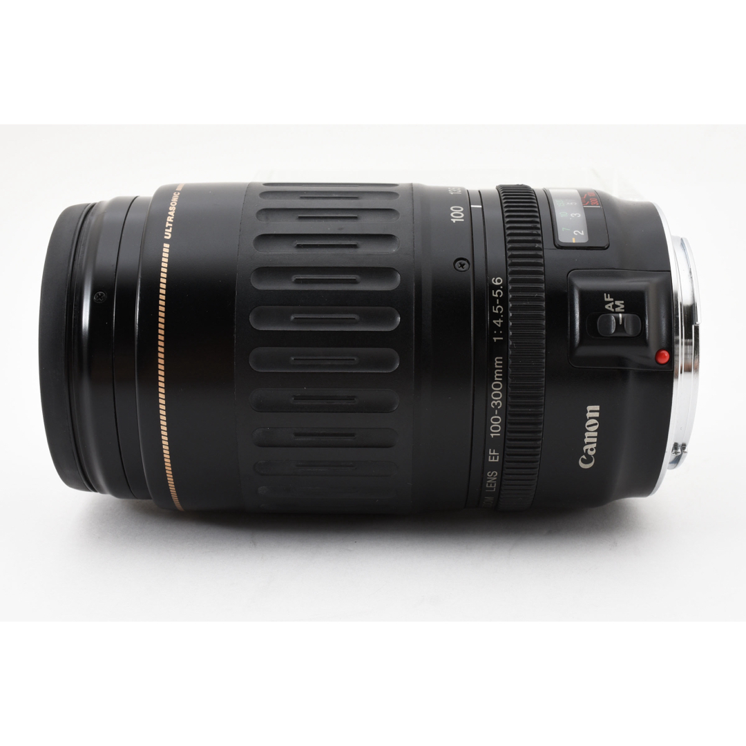 CANON EF100-300mm(Canon EF 100-300mm f/5.6 'L' - the first CANON EF100-300mm(Canon EF 100-300mm f/5.6 'L' - the first