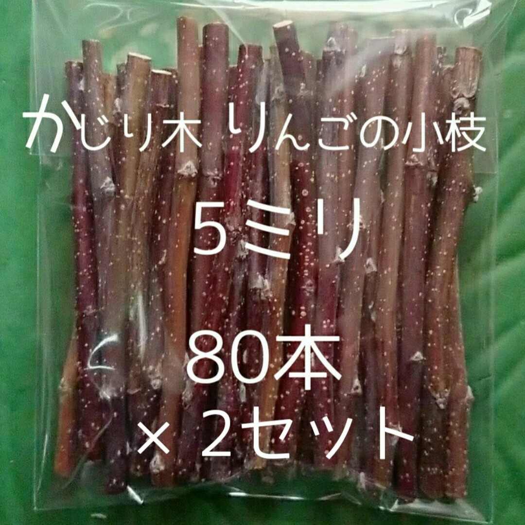 かじり木りんごの細枝160本 その他のペット用品(小動物)の商品写真