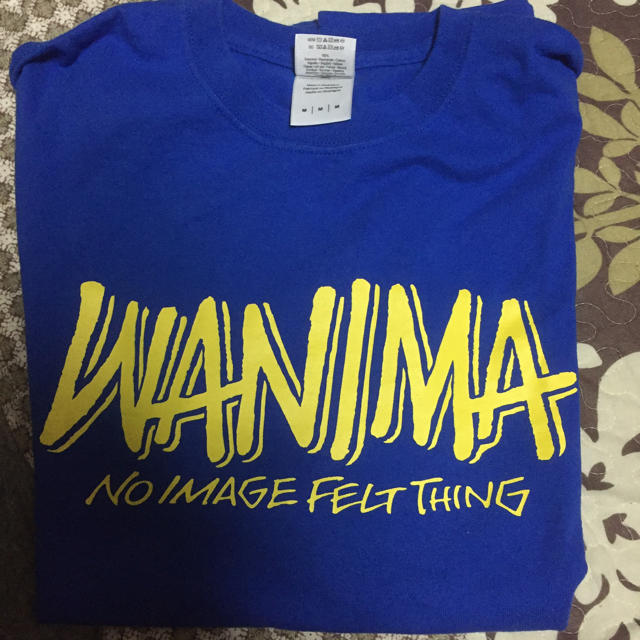 WANIMA(ワニマ)のWANIMA Tシャツ ラスタ 青 エンタメ/ホビーのタレントグッズ(ミュージシャン)の商品写真