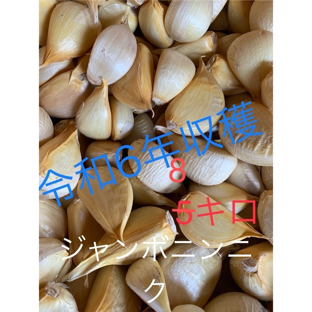 残りわずか!農直極良食味品種「いのちの壱」元年産 玄米30kg! 残りわずか!農直極良食味品種「いのちの壱」元年産 玄米30kg!