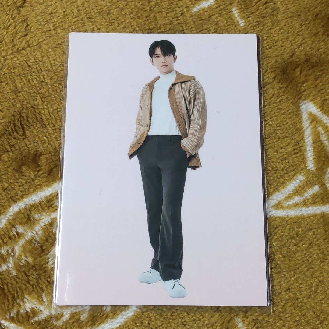 seventeen セブチ HOME トレカ ドギョム コンプリート(ディノ seventeen セブチ HOME トレカ ドギョム コンプリート(ディノ