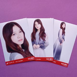 ノギザカフォーティーシックス(乃木坂46)の402. 寺田蘭世 2021.December 生写真3種コンプ(アイドルグッズ)