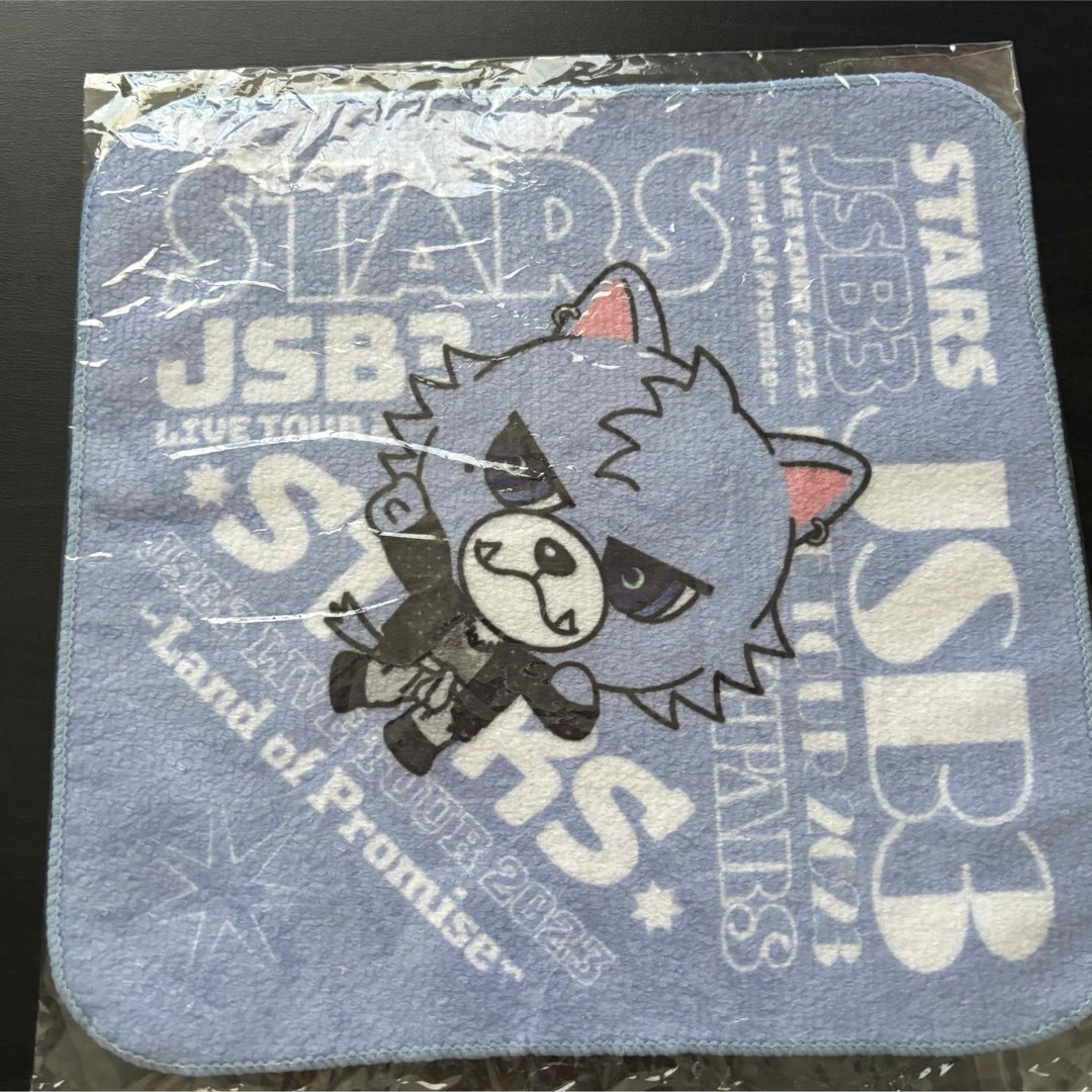 三代目 J Soul Brothers(サンダイメジェイソウルブラザーズ)の登坂広臣 ハンカチ エンタメ/ホビーのおもちゃ/ぬいぐるみ(キャラクターグッズ)の商品写真