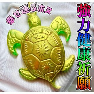 強力健康祈願◆幸せ運ぶホヌ◆オルゴナイトネックレス◆赤珊瑚◆テラヘルツ(ネックレス)