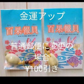 タカラ貝　根付け　ストラップ　キーホルダー　沖縄　新品　未使用　金運アップ(キーホルダー)