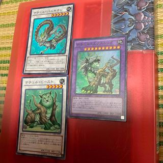 遊戯王 ナチュルビースト & ナチュルパルキオン DTC ウルトラ セット