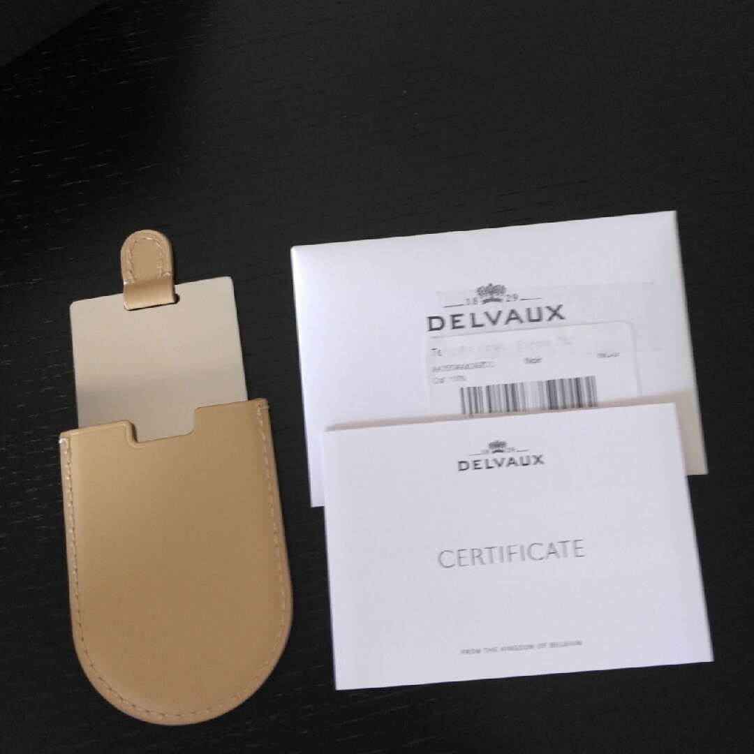 DELVAUX - 特別価格♪希少☆美品☆【Delvaux】タンペート DELVAUX - 特別価格♪希少☆美品☆【Delvaux】タンペート
