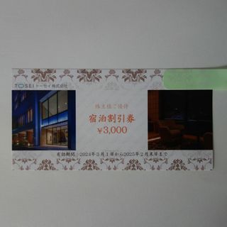 トーセイ 株主優待 宿泊割引券 3,000円分(宿泊券)