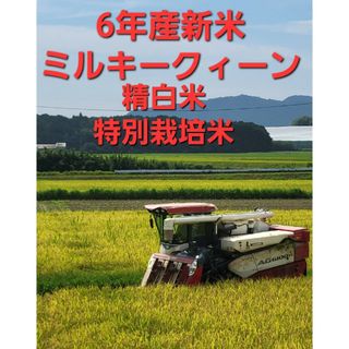 白米５キロ　ミルキークイーン　特別栽培米　令和６年産　新米(米/穀物)