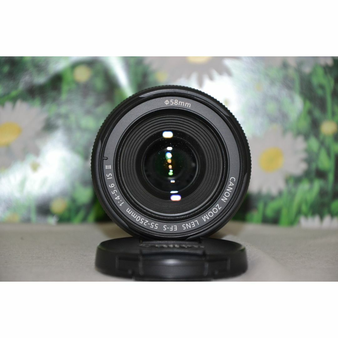 Canon EF-S 55-250mm IS⭐️望遠レンズ⭐️手振れ補正付き