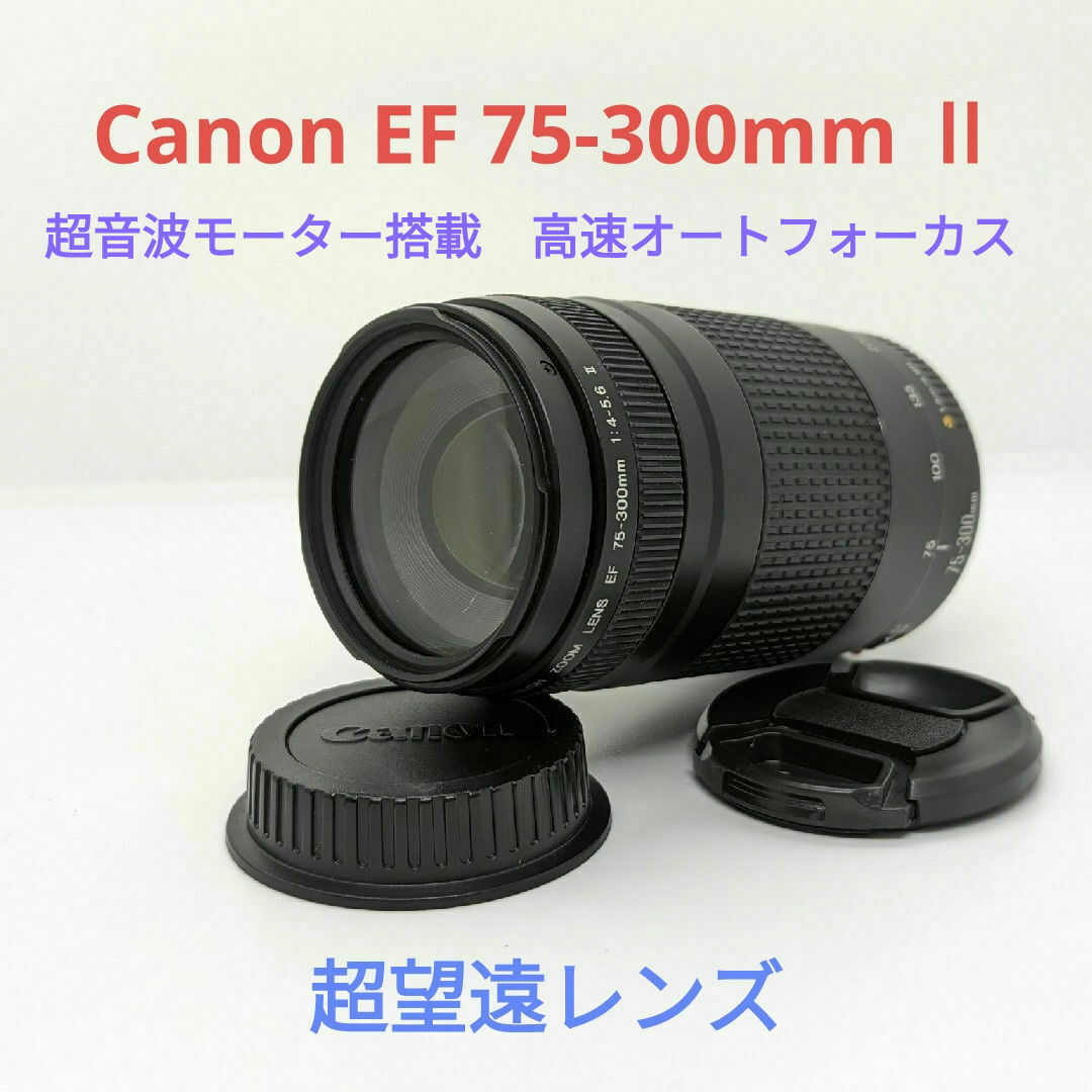CANON EOS Kiss X50(レッド) +レンズ2種類 CANON EOS Kiss X50(レッド) +レンズ2種類