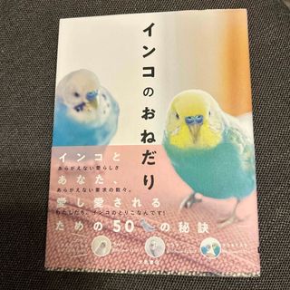 インコのおねだり(住まい/暮らし/子育て)