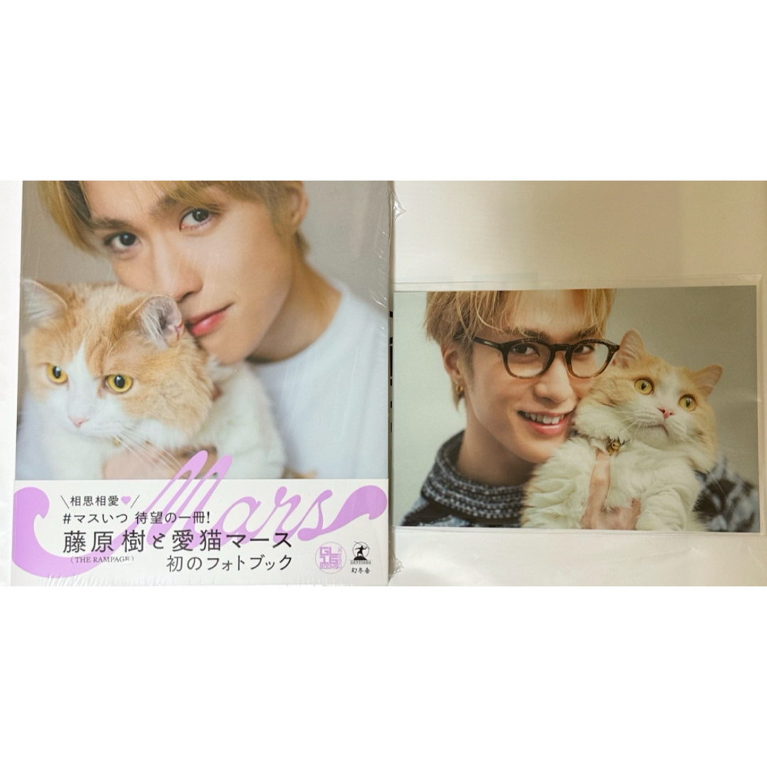 THE RAMPAGE(ザランページ)の藤原樹 Mars 写真集 ポストカード エンタメ/ホビーのタレントグッズ(アイドルグッズ)の商品写真