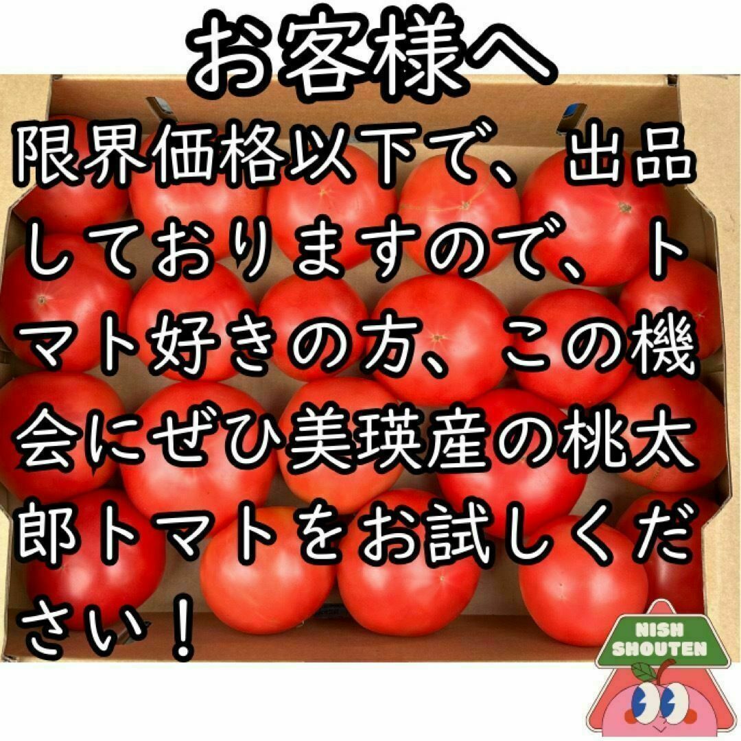 匿名配送 お試し ニラ 8本 ネコポス ぎこちない 匿名配送 お試し ニラ 8本 ネコポス ぎこちない
