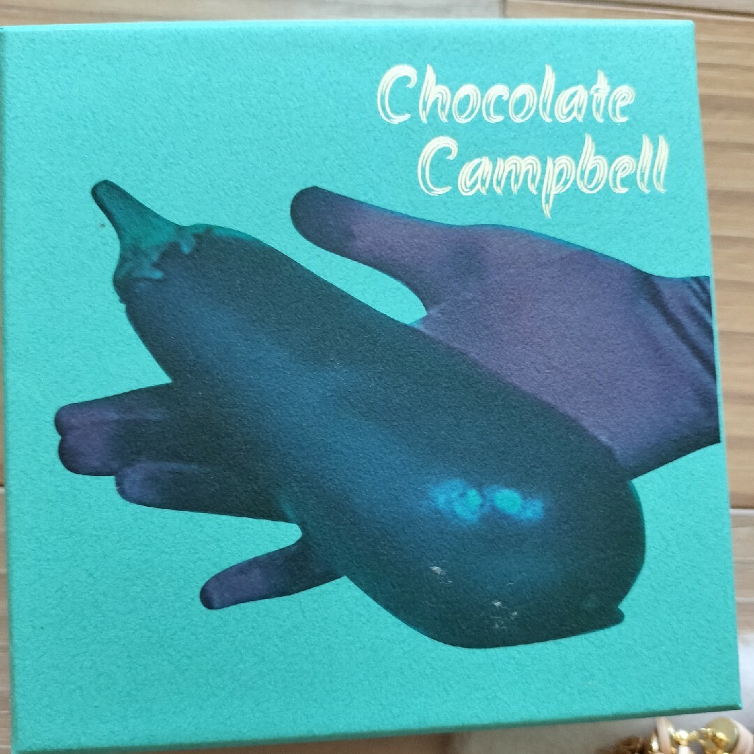 Chocolate Campbell - チョコレートキャンベル ピアス 美品の Chocolate Campbell - チョコレートキャンベル ピアス 美品の