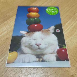 カード　シロ　野菜(その他)