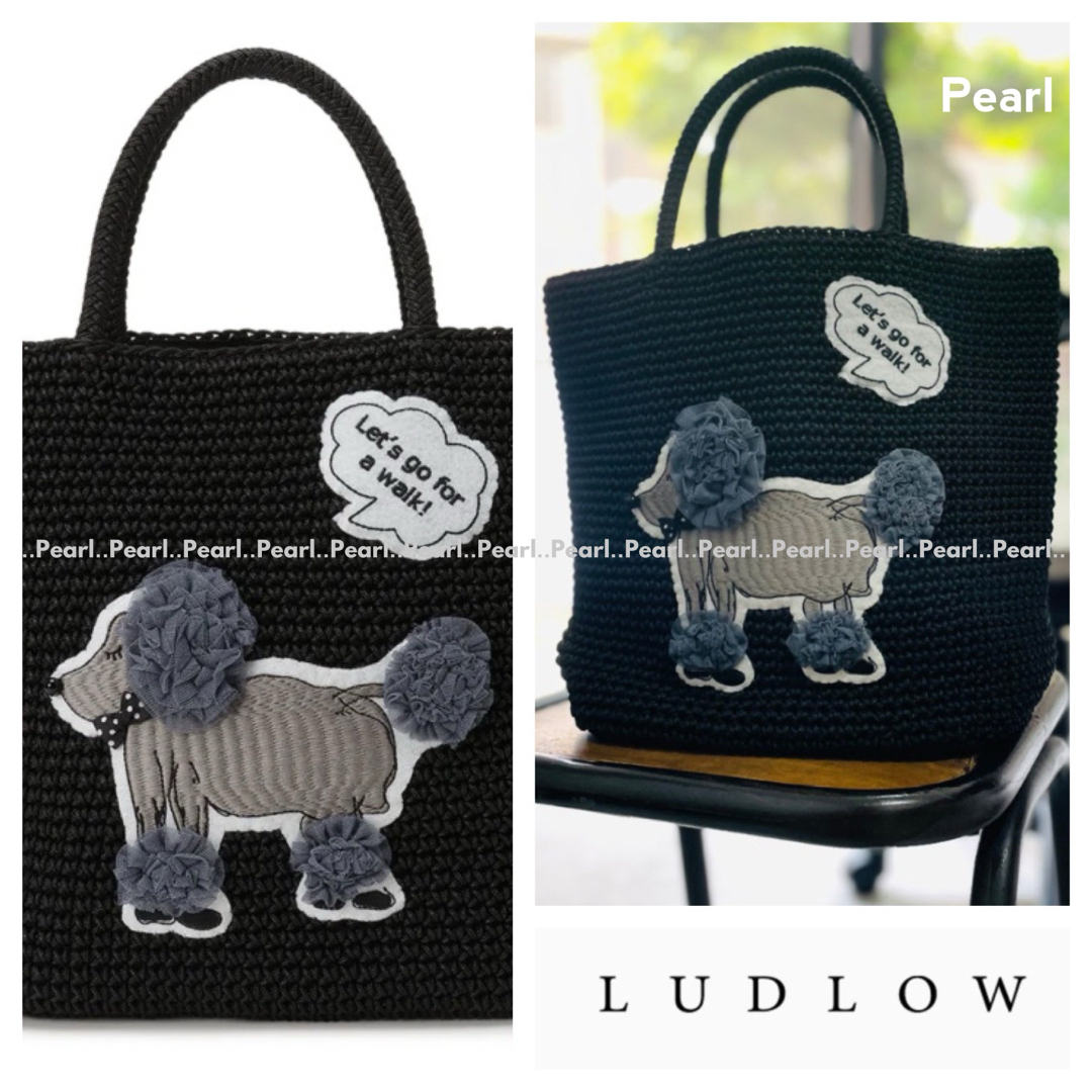 LUDLOW - ✨最終価格✨新品 2024新作 ラドロー 完売 プードル LUDLOW - ✨最終価格✨新品 2024新作 ラドロー 完売 プードル