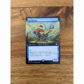 issu0624様専用 MTG issu0624様専用 MTG