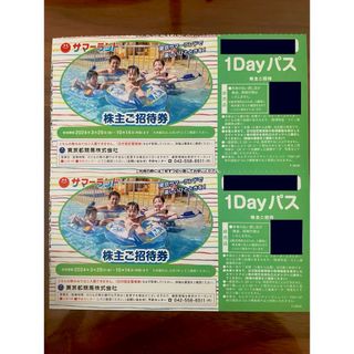 東京サマーランドご招待券（1Dayパス）２枚(遊園地/テーマパーク)