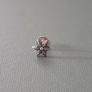 ウリゴメ様専用 正規品✳︎クロムハーツ スタースタッドピアス ウリゴメ様専用 正規品✳︎クロムハーツ スタースタッドピアス