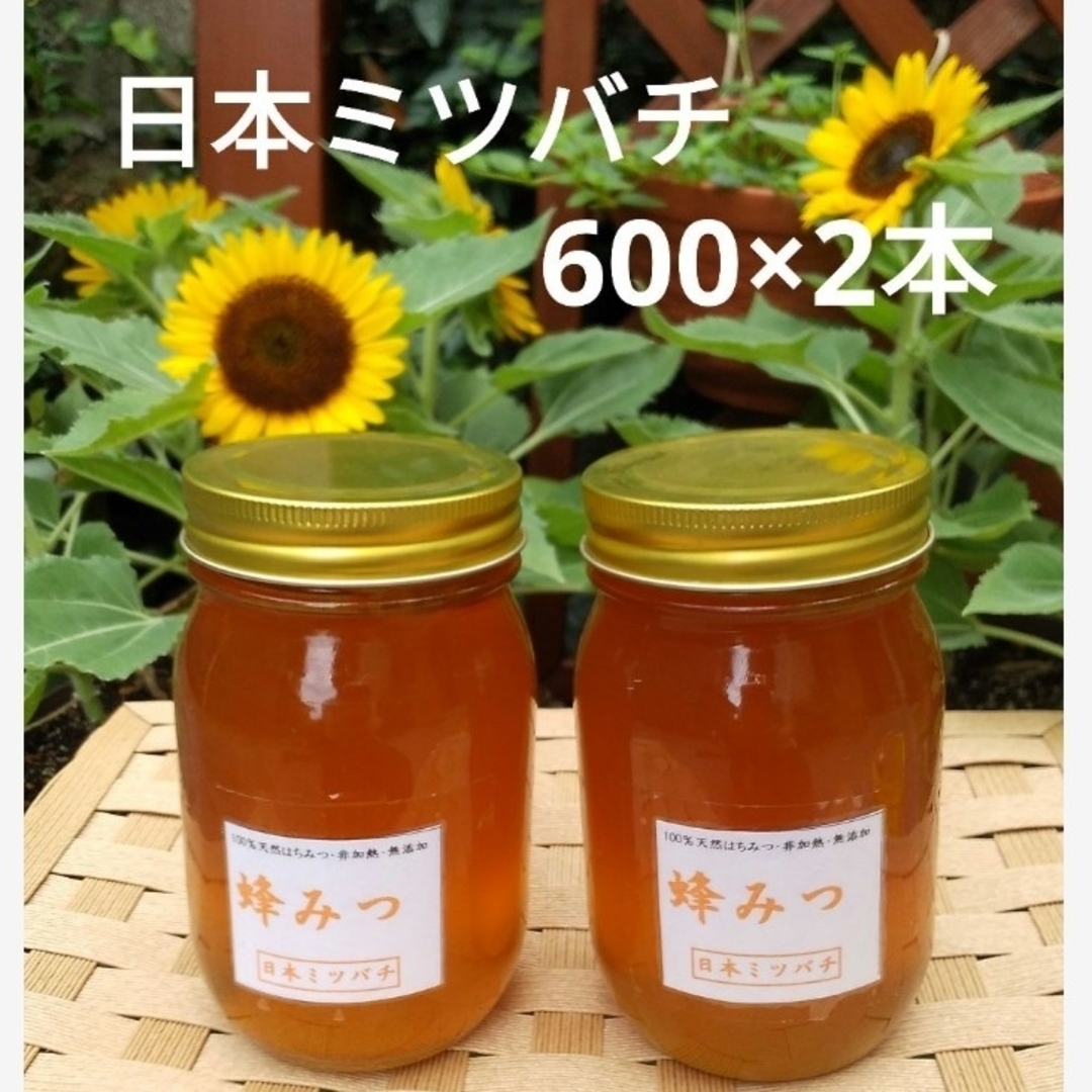 日本ミツバチの蜂蜜 600g×2本 日本ミツバチの蜂蜜 600g×2本