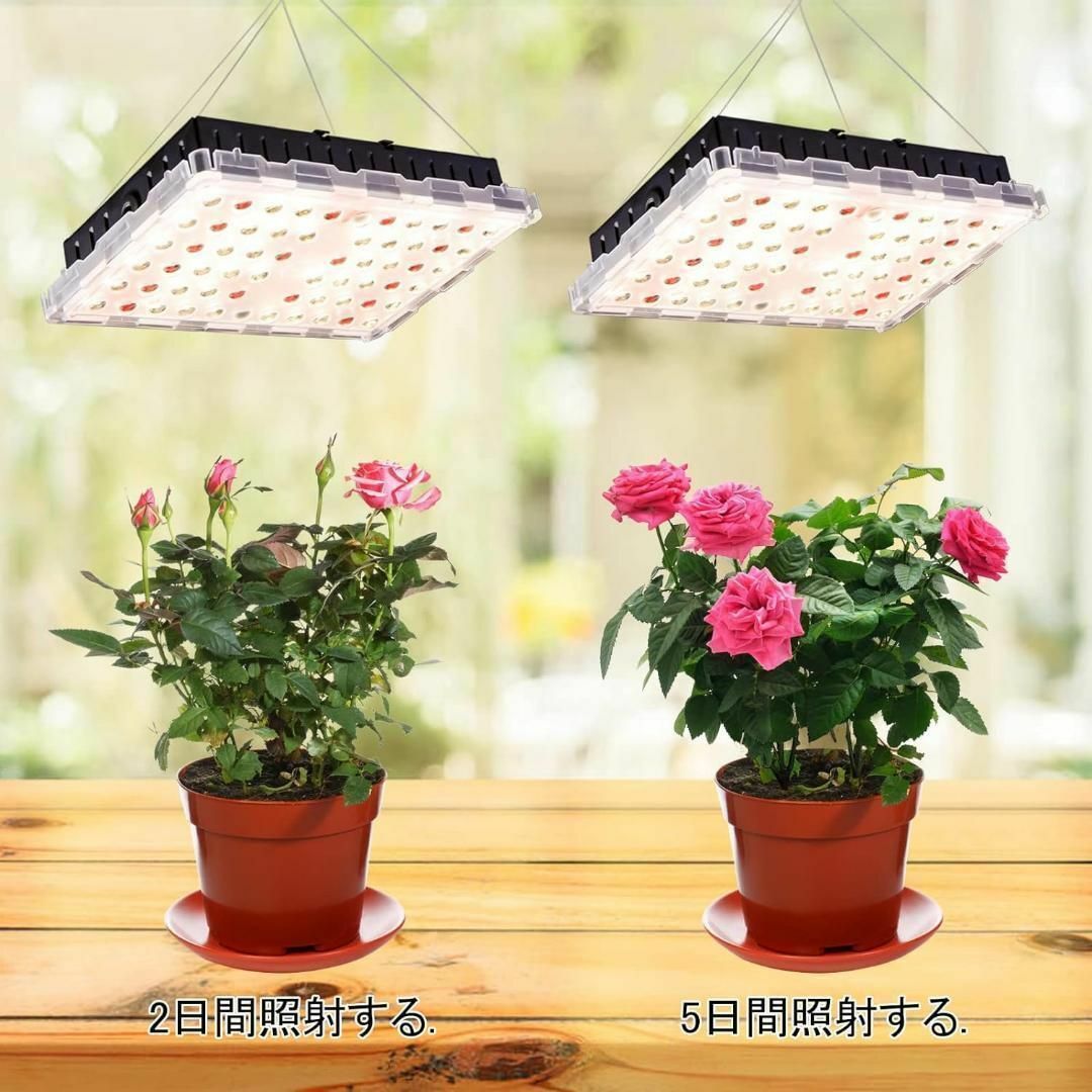 Amazon.co.jp: 植物育成ライト LED 植物ライト フルスペクトル