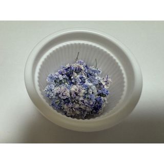 かすみ草ドライフラワー(ドライフラワー)