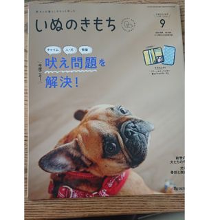 ベネッセ(Benesse)の9 月号いぬのきもち付録付き(犬)