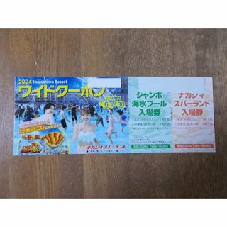 ナガシマスパーランド＋ジャンボ海水プール　大人１名か小学生２名　のりもの券４枚他(プール)