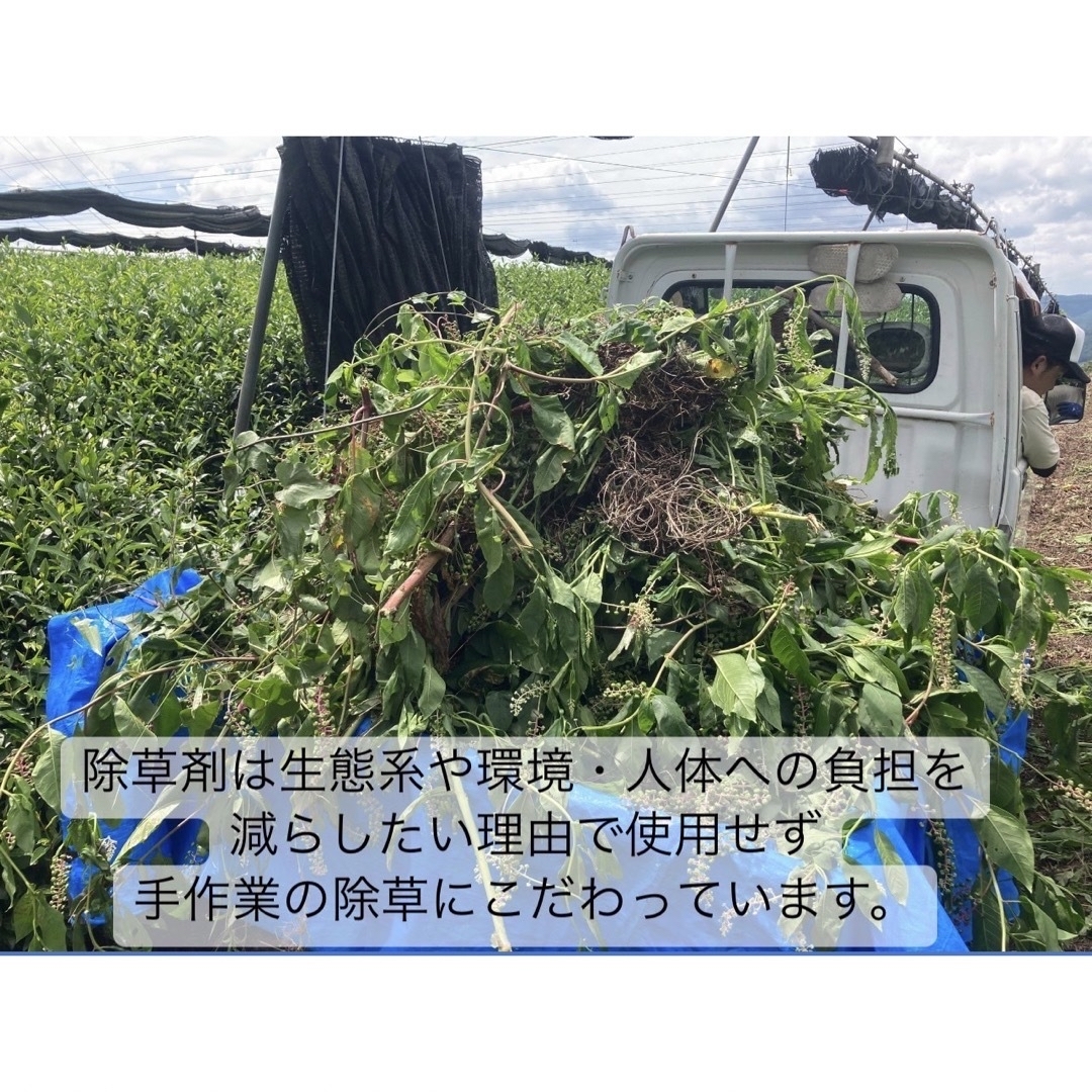 無農薬】優雅なティータイム焙煎ほうじ玄米茶 茶葉タイプ400g(約 無農薬】優雅なティータイム焙煎ほうじ玄米茶 茶葉タイプ400g(約