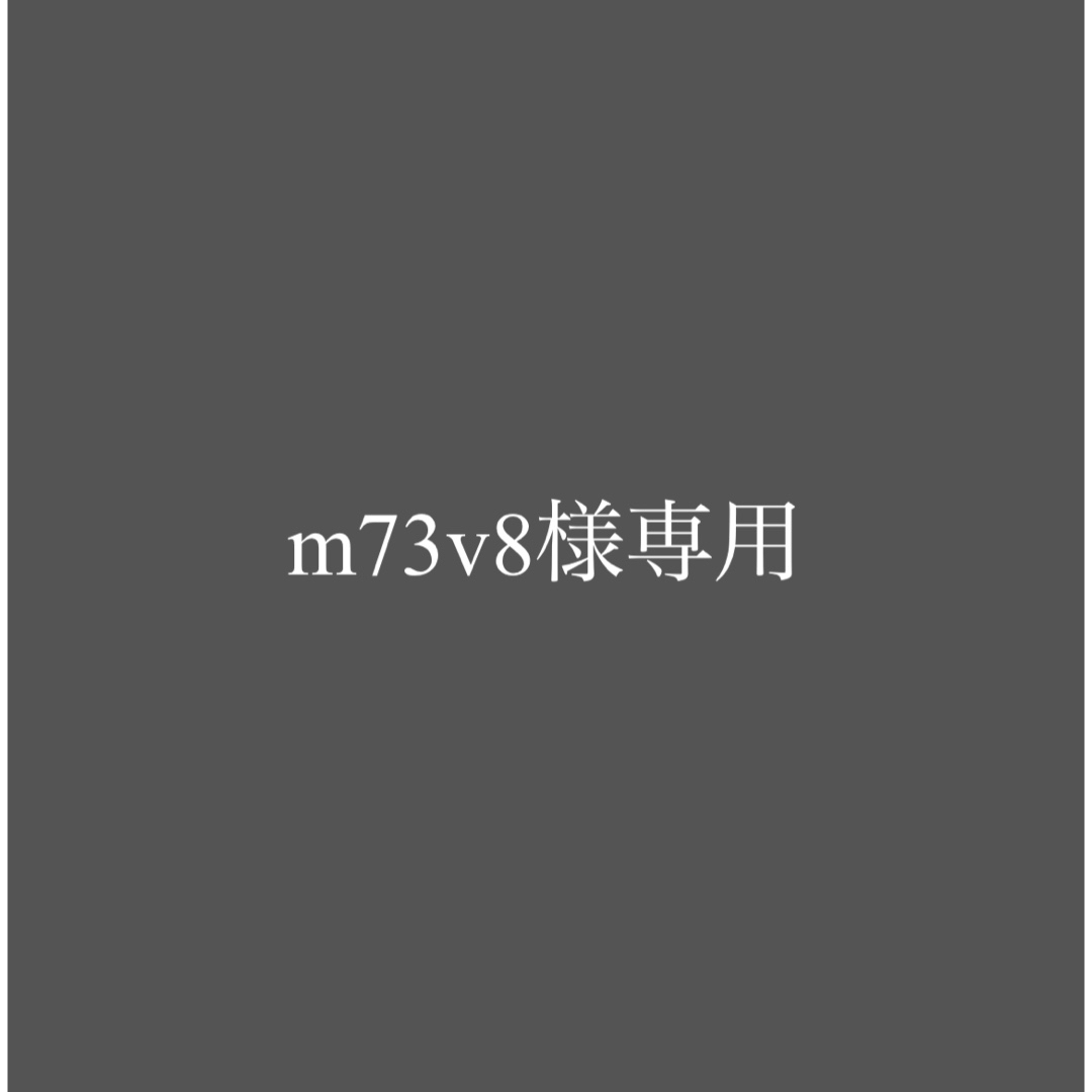 m73v8様専用 その他のその他(その他)の商品写真