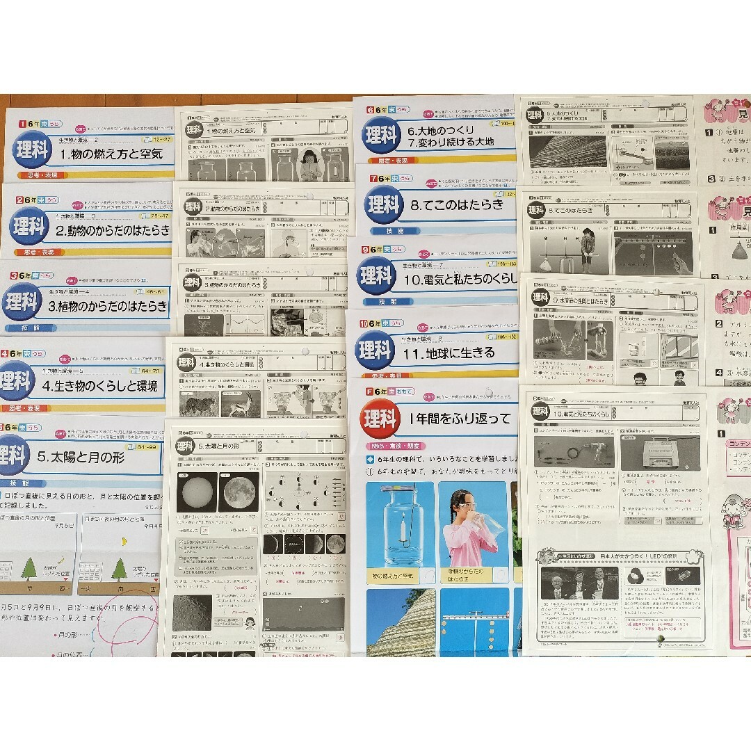 小学6年 理科 教育同人社 カラーテスト 解答の通販 by ゆちこ's 小学6年 理科 教育同人社 カラーテスト 解答の通販 by ゆちこ's