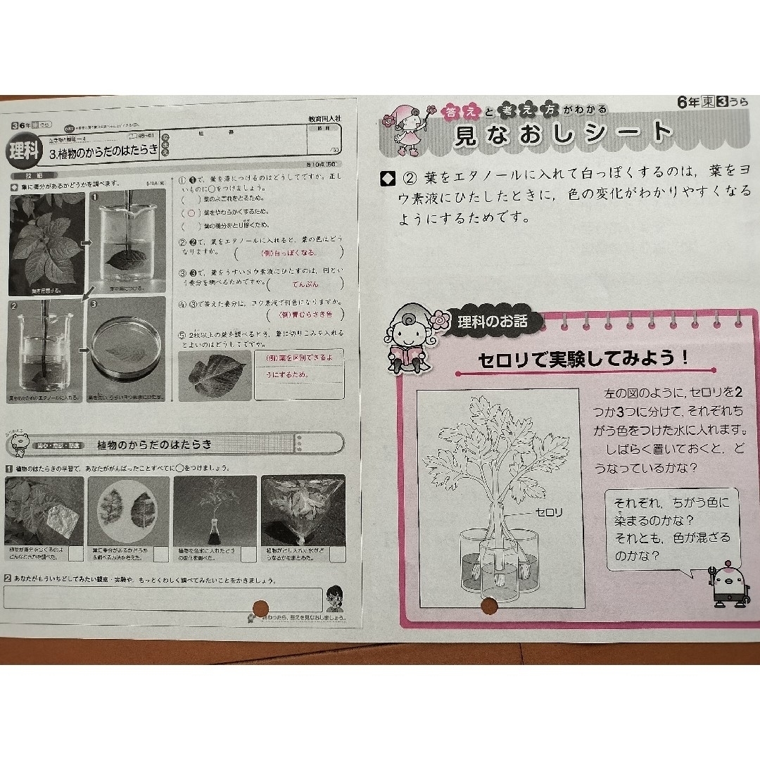 小学6年 理科 教育同人社 カラーテスト 解答の通販 by ゆちこ's 小学6年 理科 教育同人社 カラーテスト 解答の通販 by ゆちこ's