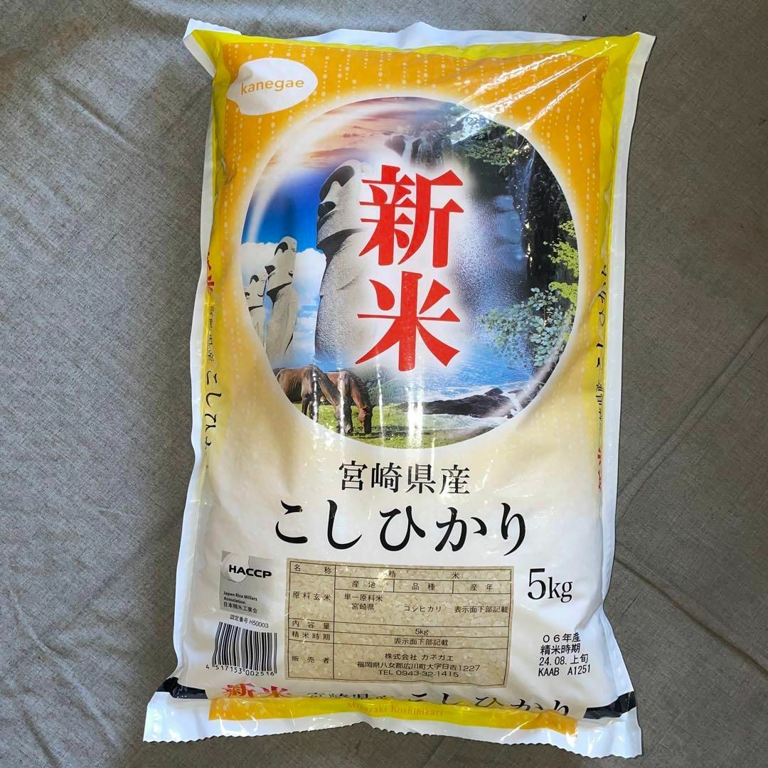 新米　06年産　5kg　こしひかり　宮崎県産　お米　九州　単一原料米