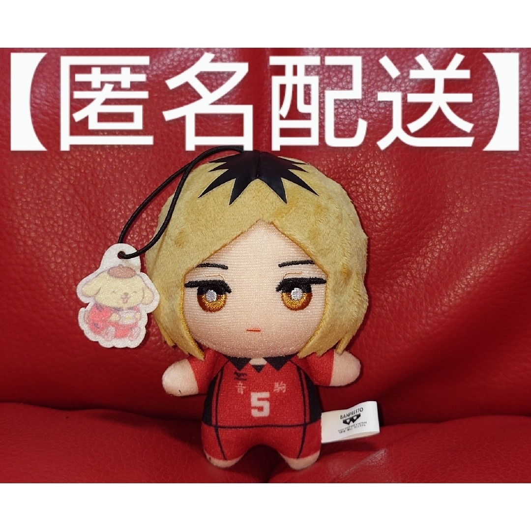 ハイキュー!! ✕ サンリオキャラクターズ ちみっともぬい 孤爪 ハイキュー!! ✕ サンリオキャラクターズ ちみっともぬい 孤爪