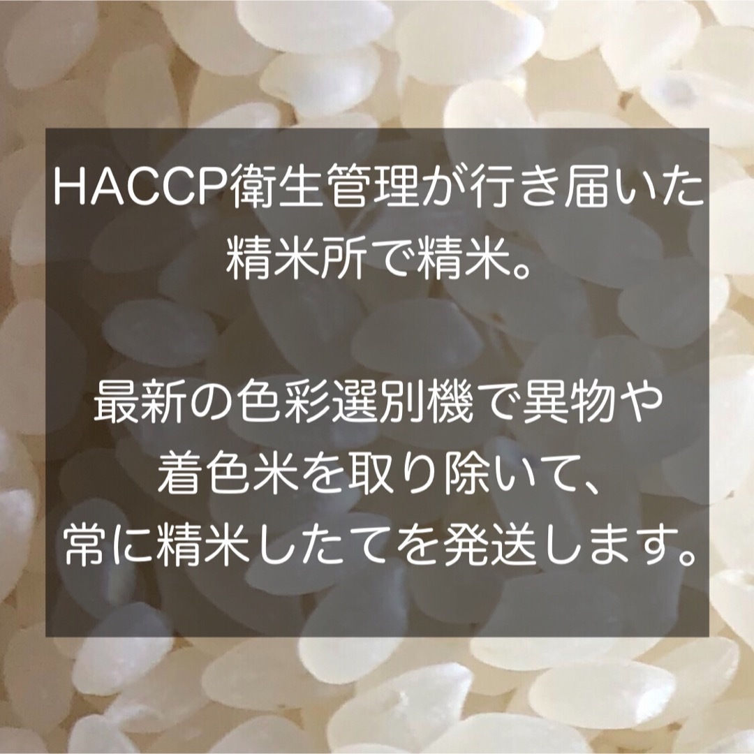 【令和5年産】長野県コシヒカリ20キロ白米