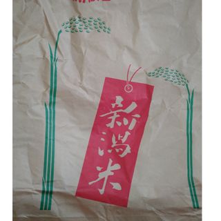 新潟県産　お米　1キロ　玄米(米/穀物)