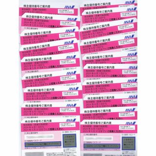 エーエヌエー(ゼンニッポンクウユ)(ANA(全日本空輸))のANA 全日空株主優待券（@1,200円）  匿名配送料込 19枚まで(航空券)