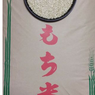 専用ページ　もち米　玄米３０kg　精米(米/穀物)