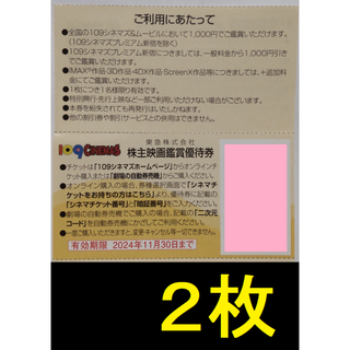 東急 株主映画鑑賞優待券 2枚 2024年11月期限 -h(その他)