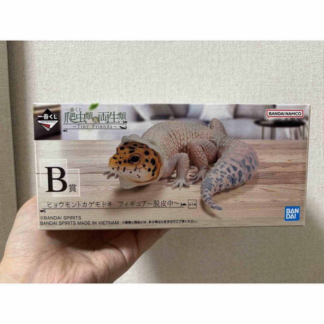 一番くじ 著しい 爬虫類&両生類~Tiny Friends~ B賞 D賞2種 一番くじ 著しい 爬虫類&両生類~Tiny Friends~ B賞 D賞2種
