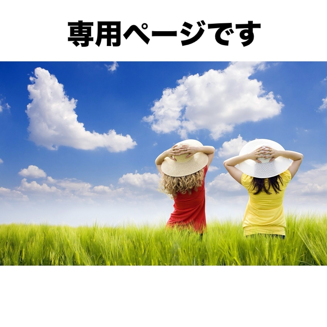 おすそ分けファイル パタパタファイル
