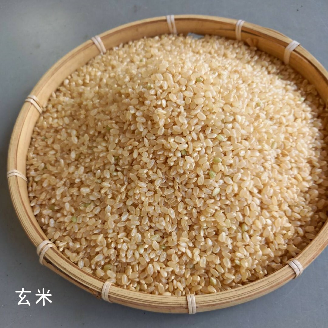 安心の農家のお米【コシヒカリ】30キロ 精米済み、送料込み 減 安心の農家のお米【コシヒカリ】30キロ 精米済み、送料込み 減