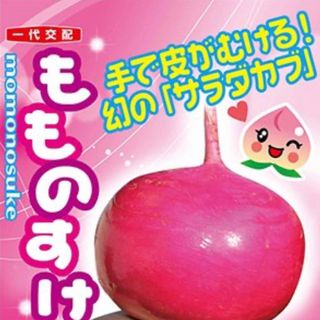 手で皮がむける!幻のサラダカブ もものすけ 種 野菜の種12粒(野菜)